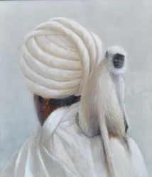 Singe Langur